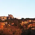 Bee Frascati