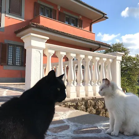 Bee 3* فراسكاتي