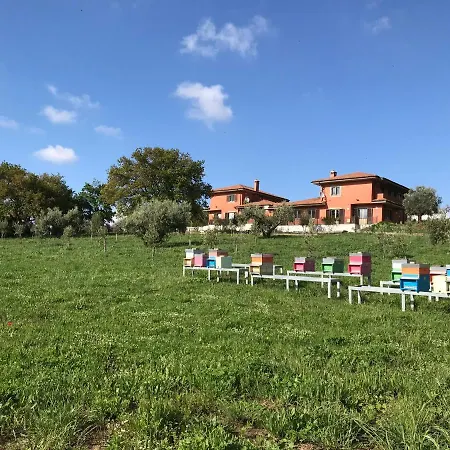 Bed and Breakfast Bee Frascati