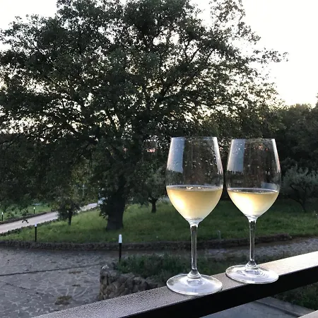 Bee 3* فراسكاتي