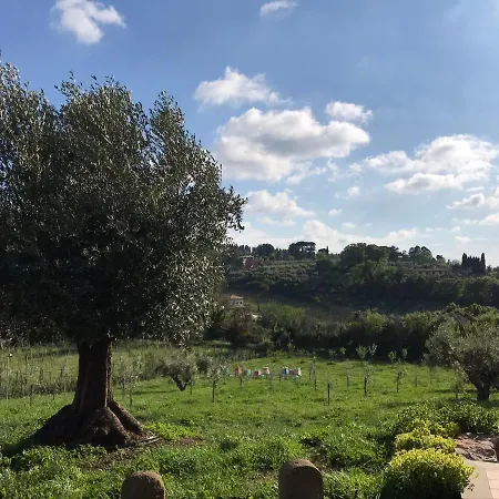 Bee Frascati