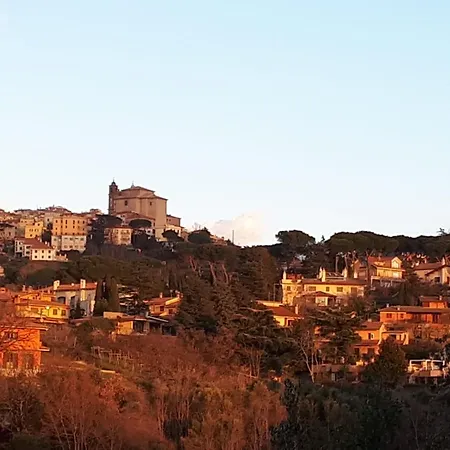 Bee Frascati