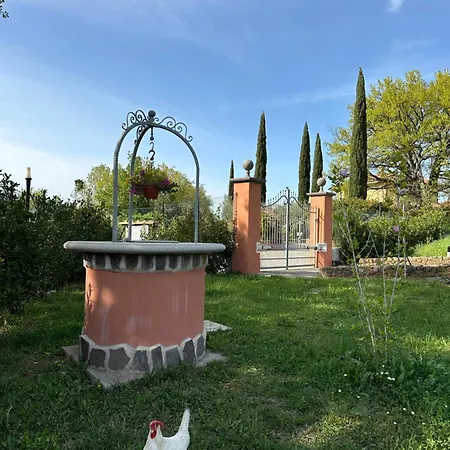 Bee Frascati