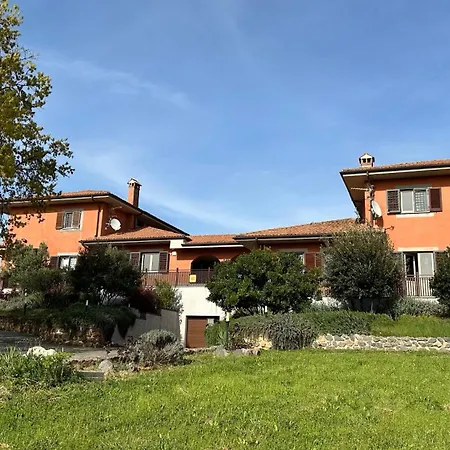 Bee Frascati