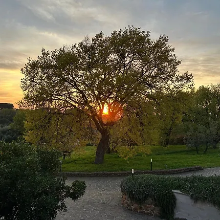 Bee Alojamento de Acomodação e Pequeno-almoço