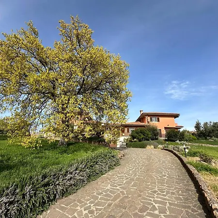 Bee Bed and Breakfast