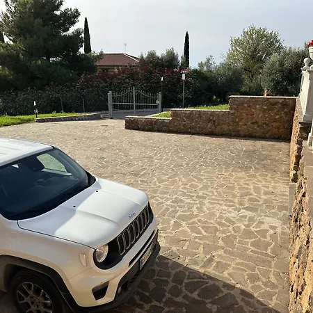 Bee فراسكاتي