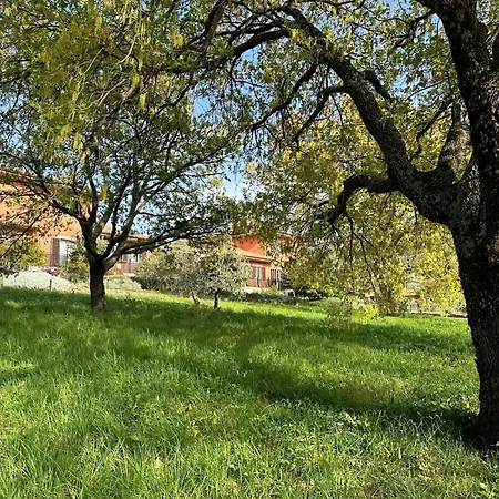 Bee فندق مبيت وإفطار