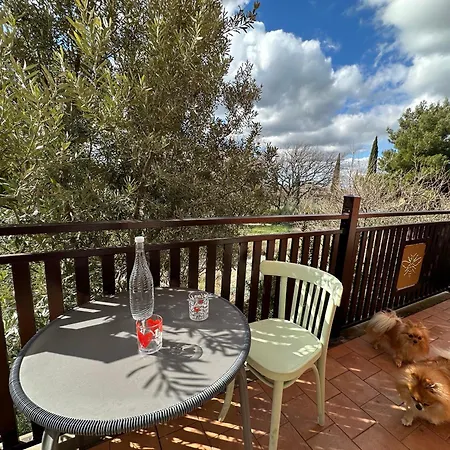 Bed & Breakfast Bee 3*