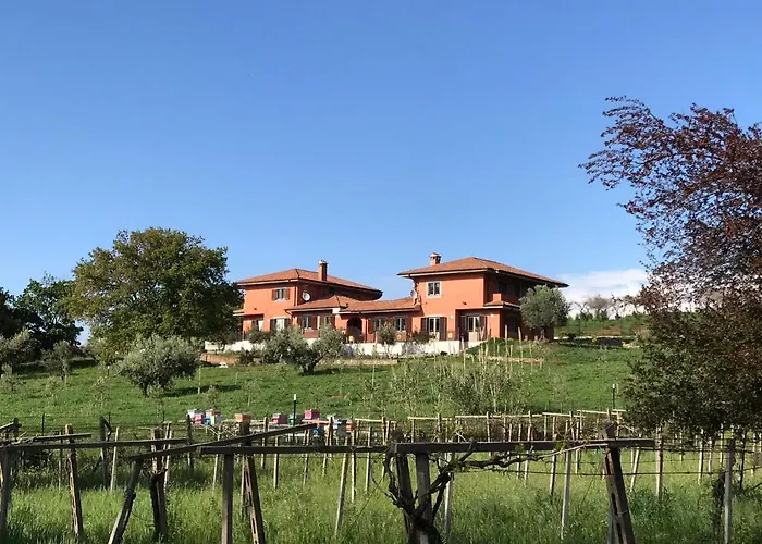 Bee Bed & Breakfast Frascati