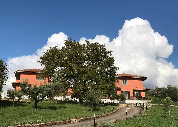 Bed & Breakfast Bee Frascati